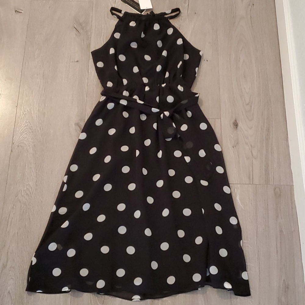 Banana Republic Polka Dot Dress